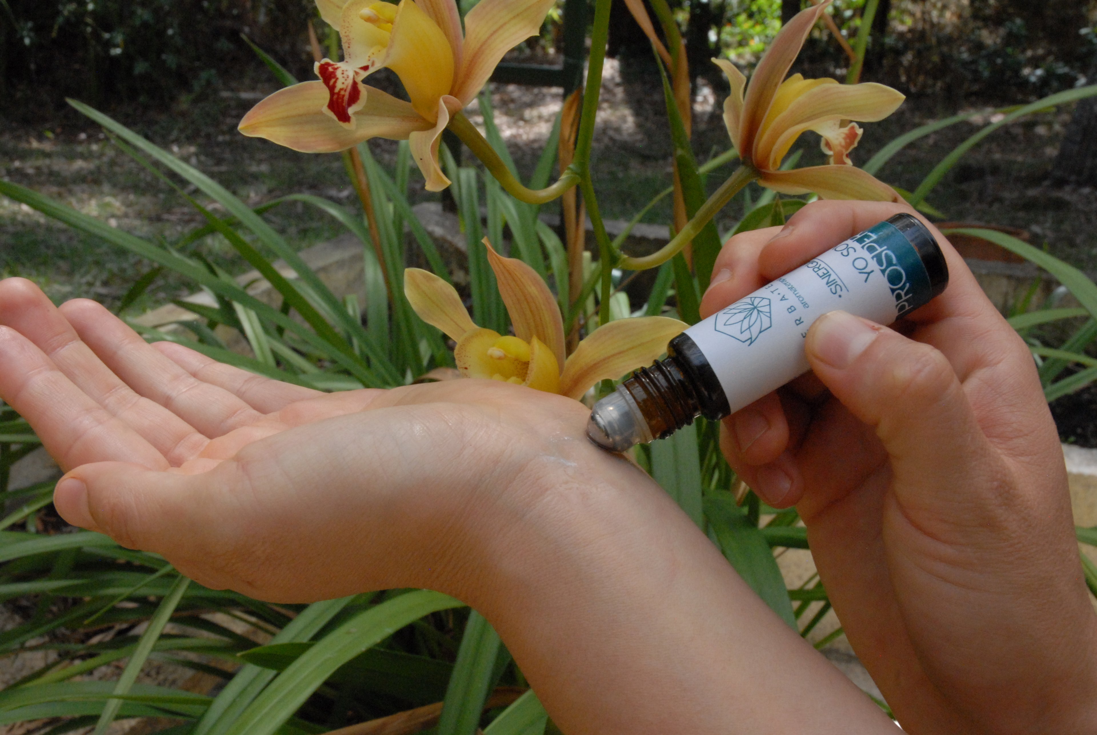 Perfumes para el aura-kit