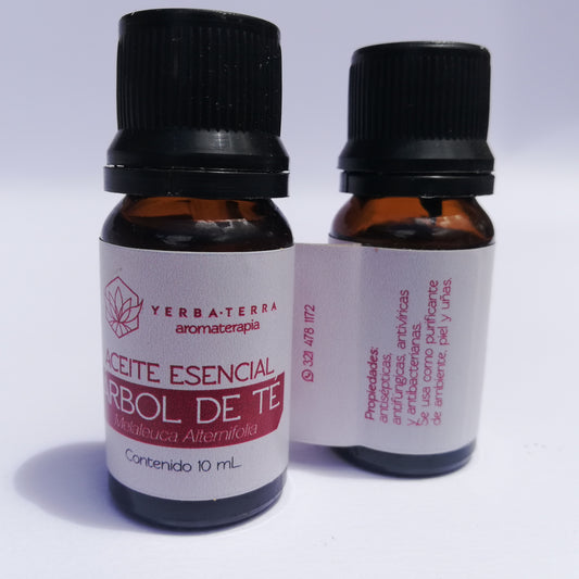 Aceite Esencial Árbol de Té